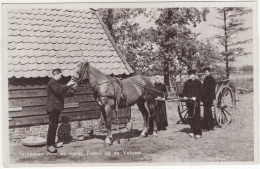 Delcampe - Inspannen Voor De Markt.  Putten Op De Veluwe - (Nederland/Holland) - 1949 - Uitg.: Bazar Van Boeijen, Putten - (Paard) - Putten