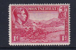 Delcampe - Montserrat: 1938/48   KGVI   SG102a    1d  [Perf: 14]    MH - Montserrat