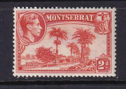 Delcampe - Montserrat: 1938/48   KGVI   SG104    2d  [Perf: 13]    MH - Montserrat