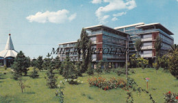 Delcampe - LATINA: Istituto Professionale Di Stato Per L'Agricoltura - Latina