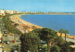 Delcampe - [-10%] FRANCE - Cannes - Promenade - Croisette - Panorama - Plage - Voiture - Transport - Animé - Ed Montluet - Carte Po - Cannes