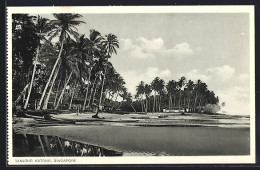 Delcampe - AK Singapore, Tanjong Katong - Singapur