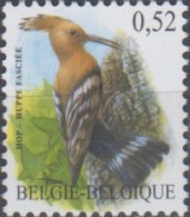 Delcampe - AVE667 - Belgium 2019 (MNH) (M8 3252) - Eurasian Hoopoe (Upupa Epops) - Piciformes (pájaros Carpinteros)