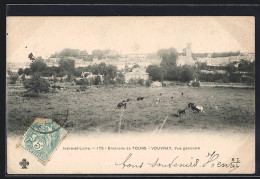 Delcampe - CPA Vouvray, Vue Générale Avec Les Vaches Dans Les Champs Au Premier Plan - Vouvray