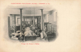 Delcampe - [-10%] FRANCE - Grasse - Parfumerie Molinard Jeune - Usine - Triage - Roses - Fleurs - Métiers - Animé - Carte Postale A - Grasse