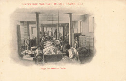 Delcampe - [-10%] FRANCE - Grasse - Parfumerie Molinard Jeune - Usine - Triage - Roses - Métier - Animé - Non Div - Carte Postale A - Grasse