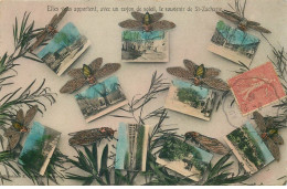 Delcampe - VAR  SAINT ZACHARIE  Souvenir De ... - Saint-Zacharie