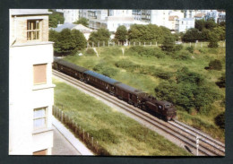 Delcampe - Carte-photo Moderne "Une Rame Voyageur à Saint Mandé - Ligne Paris-Bastille / Boissy-Saint-Léger - Années 50" - Saint Mande