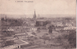 Delcampe - DIEUZE - Dieuze