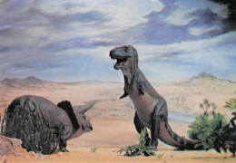 Delcampe - Cretaceous Scene Prehistoric Dinosaur Rare Painting Postcard - Leeuwen