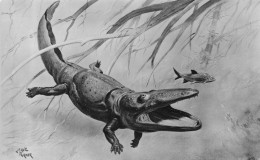 Delcampe - Paracyclotosaurus Prehistoric Dinosaur Vintage RPC Museum Real Photo Postcard - Leeuwen