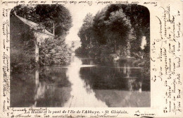 Delcampe - SAINT GHISLAIN - La Haine Et Le Pont De L' Ile De L'abbaye  ** DVD 5945 ** - Saint-Ghislain