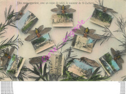 Delcampe - 83. Elles Vous Apportent Le Souvenir De SAINT ZACHARIE . ( Cigales ) . - Saint-Zacharie