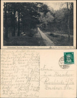 Delcampe - Ansichtskarte Prerow Weg An Den Dünenanlagen 1928 - Seebad Prerow