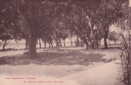 Delcampe - TCHAD(FORT LAMY) ARBRE - Tschad