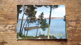 Delcampe - REF 703 : CPSM 13 ISTRES Les Bords De L'étang De Berre - Istres