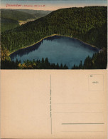 Delcampe - Ansichtskarte Bad Rippoldsau-Bad Rippoldsau-Schapbach Glaswaldsee 1913 - Bad Rippoldsau - Schapbach