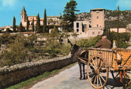 Delcampe - CPM - M - ESPAGNE - ILES BALEARES - MALLORCA - VALLDEMOSA - LA CARTUJA Y PALACIO DEL REY SANCHO - Mallorca
