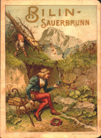 Delcampe - Tchèquie, Bilina, Livret Bilin Sauerbrunn (pastille Digestive De Bilin) - Dépliants Turistici