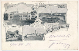 Delcampe - T2/T3 1900 Nagyszentmiklós, Sannicolau Mare; Gróf Nákó Kastély, Látkép, Gondűző, Sörfőzde, Sörgyár / Castle, General Vie - Unclassified