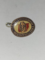 Delcampe - DDR - SED - Anstecknadel - Associations