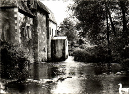 Delcampe - CPM Bleneau Moulin Du Bazin - Bleneau