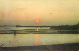 Delcampe - CPA CAMPAGNE POUR LA SAUVEGARDE DE L'ENFANCE ET DE L'ADOLESCENCE - Demonstrationen