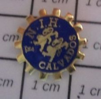 Delcampe - 710d Pin's Pins / Beau Et Rare / ASSOCIATIONS / FNIH CALVADOS Fédération Nationale De L'Industrie Hôtelière - Associations