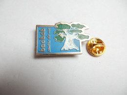 Delcampe - Beau Pin's , Association Baobab , Centre De Vie - Associations