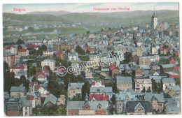 Delcampe - Siegen  1915  (x2019) - Siegen