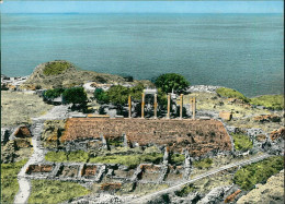Delcampe - LEBANON / LIBAN - BYBLOS / JEBAIL - COLONNES / COLUMNS GRECO / ROMAN - PHOTO SPORT-BAB EDRISS - 1950s (19746) - Libanon