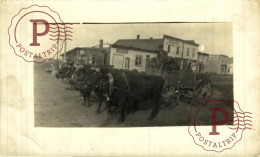 Delcampe - Canada RPPC Oxen Team With Wagon – Main Street Scene, Prairie Town C.1905-1915 (Morris Manitoba? - Other & Unclassified