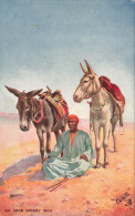 Delcampe - [-5%] EGYPTE - Le Caire - Arab Donkey Boy - Ânes - Transport - Désert - Folklore - Animé - Ed Oilette - Carte Postale An - Cairo