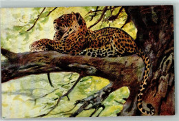 Delcampe - 39152987 - Leopard Sitzt Auf Einem Ast AK - Leeuwen