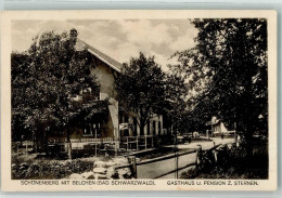 Delcampe - 13529000 - Schoenenberg , Schwarzw - Lörrach