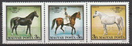 Delcampe - Hongarije 1989, Postfris MNH, Horses - Ongebruikt