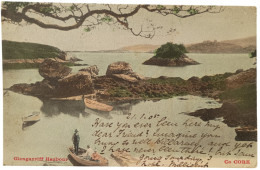 Delcampe - Ireland Co. Cork Glengariff Harbour 1905 - Cork