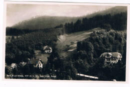 Delcampe - D-18707  BAD RIPPOLDSAU : Mit Villa Anna - Bad Rippoldsau - Schapbach