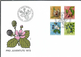 Delcampe - SUISSE Pro Juventute Ca.1973: FDC - FDC