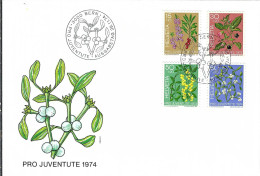 Delcampe - SUISSE Pro Juventute Ca.1974: FDC - FDC