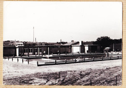 Delcampe - 17226 /  VERFEIL (31) La Piscine Municipale 1950s Photo-Bromure MOIROUD Haute-Garonne - Verfeil