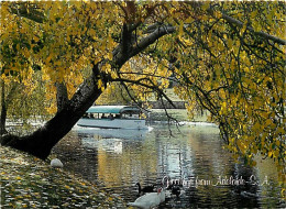 Delcampe - Australie - Australia - Adelaide - Popeye Tourist Boat On The River Torrens - CPM - Voir Scans Recto-Verso - Adelaide