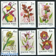 Delcampe - Hungary 1987 Orchids 6v Imperforated, Mint NH, Nature - Flowers & Plants - Orchids - Ongebruikt