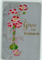 Delcampe - 39213868 - Bischofswerda - Bischofswerda