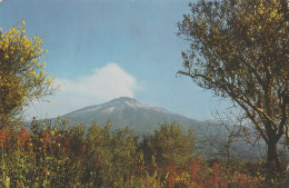 Delcampe - L'etna(catania) - Viaggiata - Catania