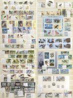 Delcampe - BIRDS Large Stock Book Containing UM Ranges Of British Commonwealth & Foreign Issues Incl. Commems, Defins, M/Sheets, Sh - Sonstige & Ohne Zuordnung