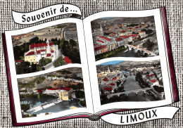 Delcampe - 11-LIMOUX-N°T202-C/0045 - Limoux