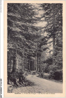 Delcampe - AGHP11-0798-11 - QUILLAN - Foret Des Fanges - La Route Dans La Foret - Limoux