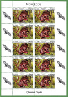 Delcampe - B1945 - Angola - ERROR MISPERF Stamp Sheet - 2018 -  Mammals, Bats - Bats