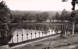 Delcampe - [-15%] FRANCE - Houillères De Lorraine - Colonie De Thiétry - Le Parc Et Létang - Carte Postale - Sonstige & Ohne Zuordnung